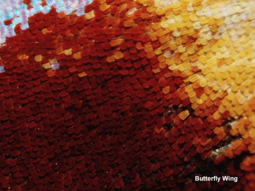 Bresser Biolux Touch digitālais mikroskops