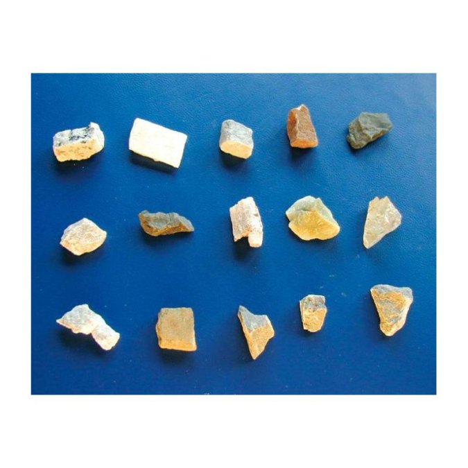 Bresser Junior Biolux ICD mikroskops