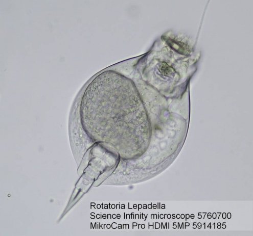 Bresser MikroCam Pro HDMI 5MP mikroskopa kamera