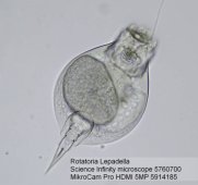 Bresser MikroCam Pro HDMI 5MP mikroskopa kamera